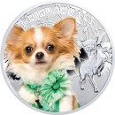 Chihuahua, Silver Coin