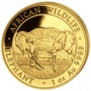 Somalia Elephant 1 oz 2020 Gold