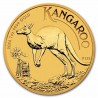 Australian Kangaroo 1 oz 2024 Gold coin