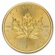 Canadian Maple Leaf 1 oz 2024 Gold