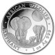 Somalia Elephant, African Wildlife, 100 Shilling, 1oz Silver, 2014