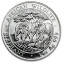 Somalia Elephant  African Wildlife  1oz Silver  2013